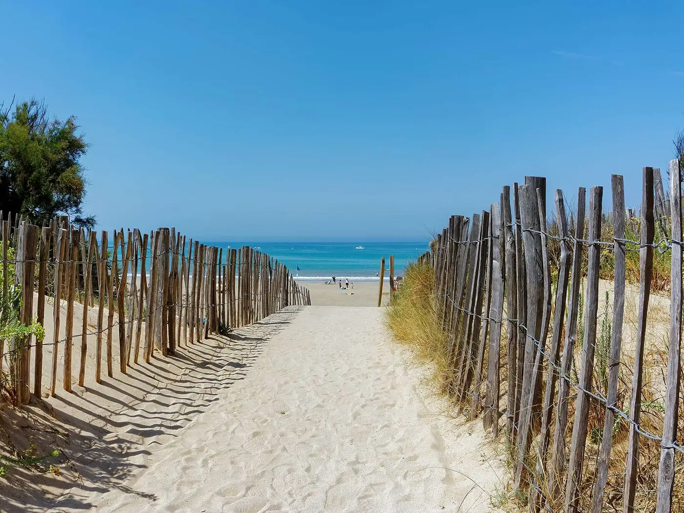 Chemin de sable entre les ganivelles vers une plage de l'île de Ré
